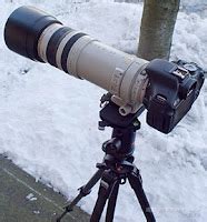 Canon EF 100-400mm vs Canon EF 70-200 F/2.8 II + Canon EF 2x III Extender