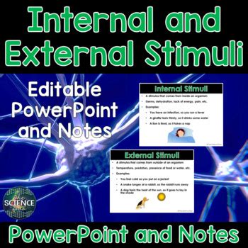 Internal and External Stimuli - PowerPoint and Notes by The Science Duo