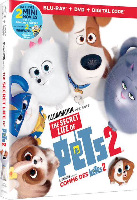 Geeky Girl Reviews: The Secret Life Of Pets 2 On Blu-ray/DVD #Giveaway