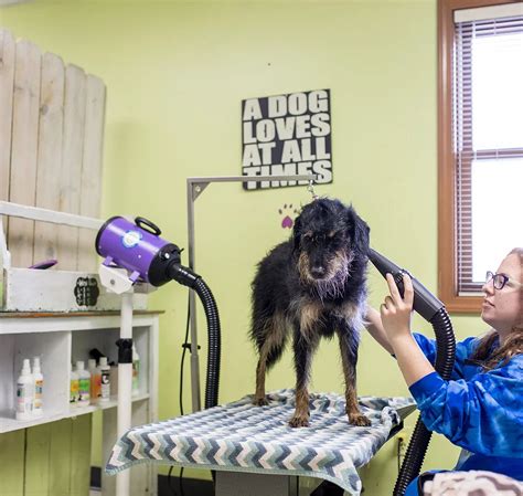 Self Serve, Self Washing Dog Wash Station In Normal At Nilla's Tub DIY ...