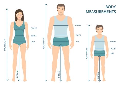 Premium Vector | Vector illustration of man, women and boy in full length with measurement lines ...