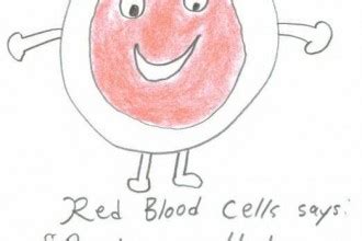 Red Blood Cell explanation for children : Biological Science Picture Directory – Pulpbits.net