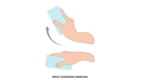 Wrist Extension Exercises - Exercises For Injuries