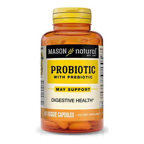 Mason Natural Probiotic With Prebiotic Veggie Caps - 40 ct - The Online ...