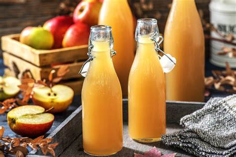 How to Make Apple Juice From Scratch | The Fresh Times | Homemade apple ...