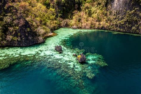 Aerial View of Twin Lagoon Turquoise Waters with a Drone the Philippines Coron Stock Photo ...