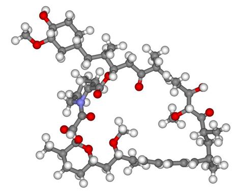 MTOR inhibitors - Alchetron, The Free Social Encyclopedia