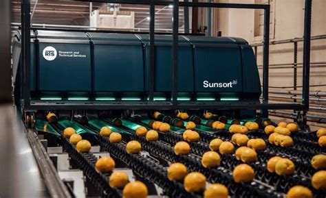 Sunkist Research and Tech Services launches next-gen citrus fruit sorter | Food Engineering