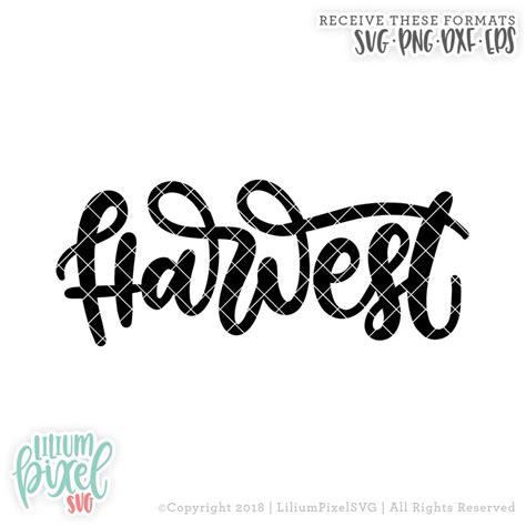 Handlettered Harvest SVG Files Sayings / Fall SVG for Cricut - Etsy