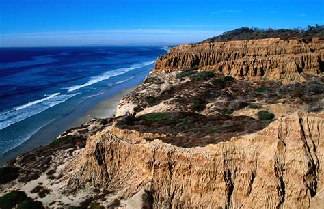 Torrey Pines Hiking: Woods, Wildlife and Waves