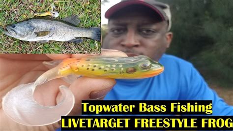 Topwater Frog Bass Fishing Tips | Live Target Freestyle FROG - YouTube
