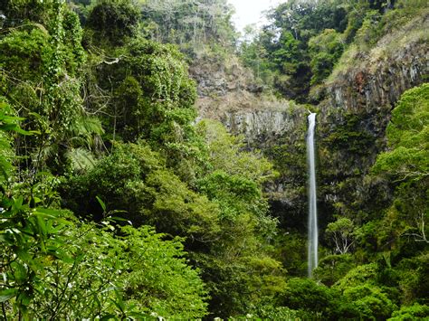 MADAGASCAR: USAID and McCormick provide $3 million for biodiversity conservation | Afrik 21