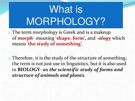 Morphology Definition