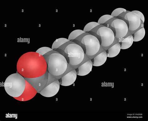 Myristic acid molecule Stock Photo - Alamy