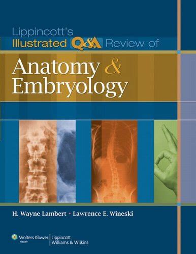 20 Best Embryology Books of All Time - BookAuthority