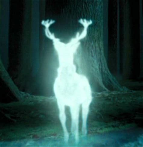 Patronus Charm - Harry Potter Photo (16349304) - Fanpop