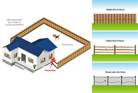 Step 1: Planning the Installation - Extreme Electric Dog Fence 2024 DIY ...