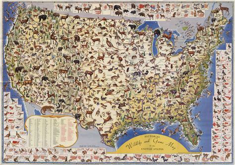 Illustrated wildlife map of the United States (1956) [4000×2806] : r/MapPorn