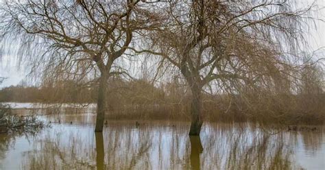 Flooding and drainage - Suffolk County Council