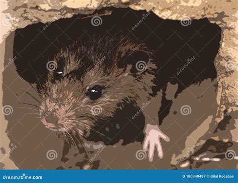 Drawing of rat on a sewer stock image. Image of dark - 180340487