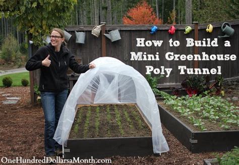 How to Build a Small Poly Tunnel - One Hundred Dollars a Month