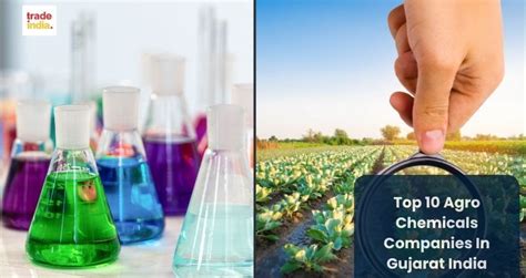 Top 10 Agro Chemicals Companies In Gujarat India