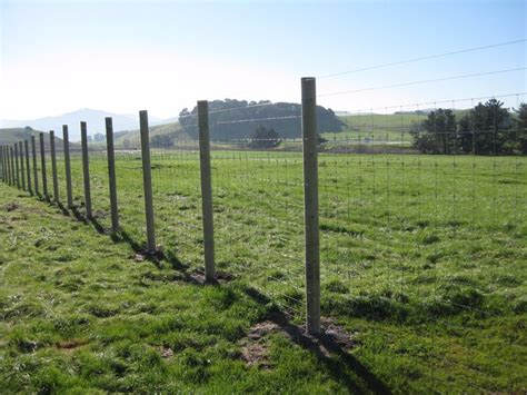 Deer, Vineyard & Orchard Fencing – SC Barns | Deer fence, Fence landscaping, Orchard garden