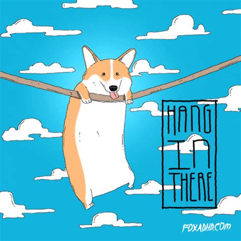 Hang In There GIFs - Find & Share on GIPHY