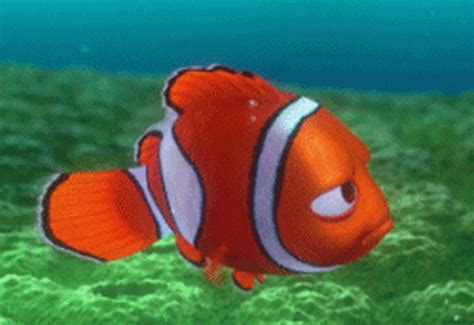 Nemo Fish GIF - Nemo Fish - Descubre y comparte GIF