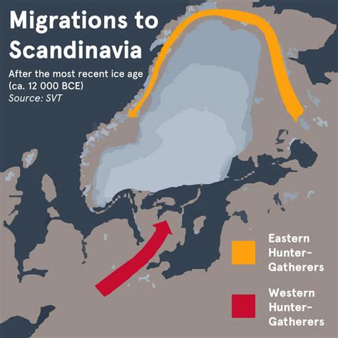 Swedish Vikings: A Guide To Viking Age Swedes & Their Journeys