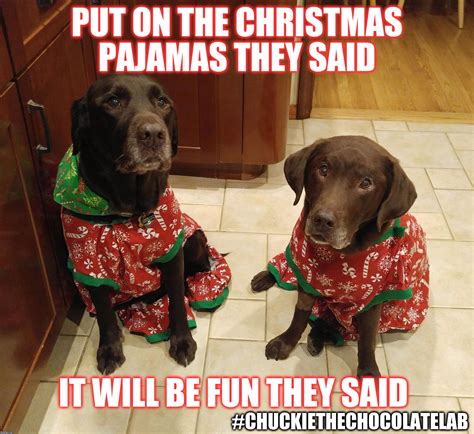 Put on the Christmas pajamas they said it will be fun they said - Imgflip