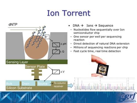 NGS technologies - platforms and applications