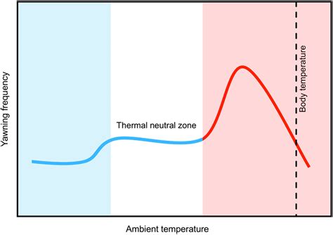 Yawning As A Brain Cooling Mechanism: Nasal Breathing And, 45% OFF