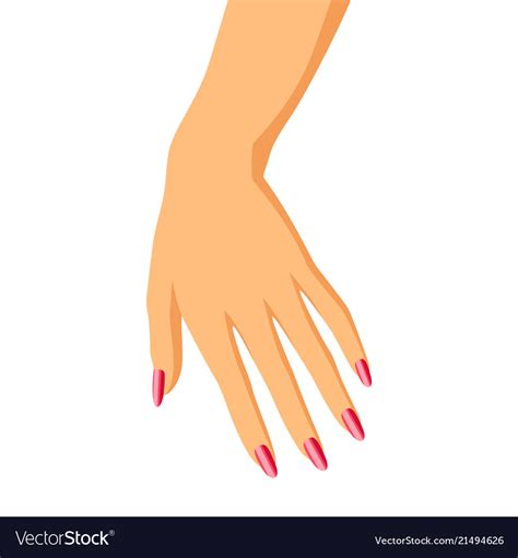 Woman hand Royalty Free Vector Image - VectorStock