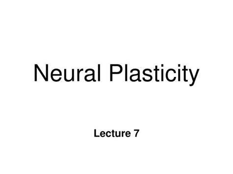 PPT - Neural Plasticity PowerPoint Presentation, free download - ID:6820129