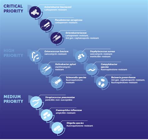 Managing carbapenem-resistant gram-negative infections: Challenges in the developing world