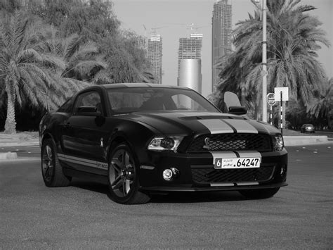 Ford Mustang shelby 500GT