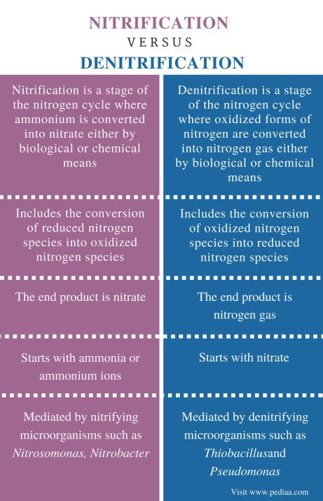 Difference Between Nitrification and Denitrification | Definition ...