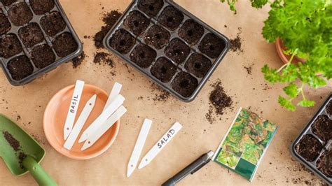 The best soil to start seeds: experts reveal | Homes & Gardens