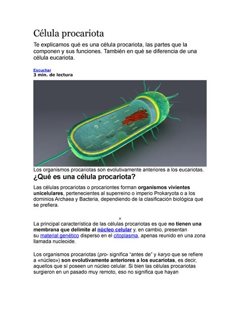 Célula procariota - Célula procariota Te explicamos qué es una célula procariota, las partes que ...