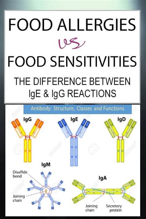 IgG & IgE Antibodies Differences - Food intolerance & Food Allergy testing