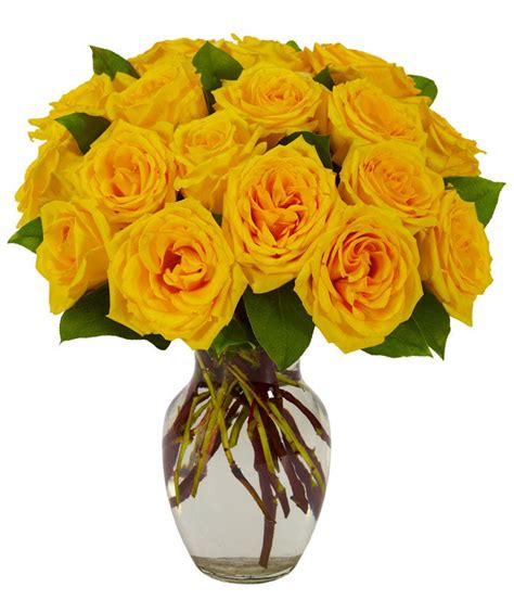 Yellow Rose Bouquet at From You Flowers