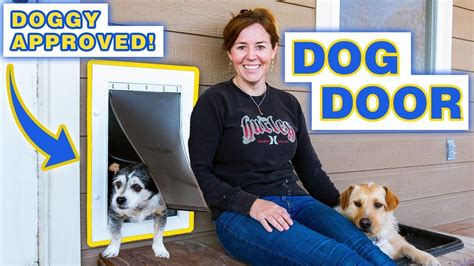 DIY Dog Door | Easily Install A Dog Door In A Wall