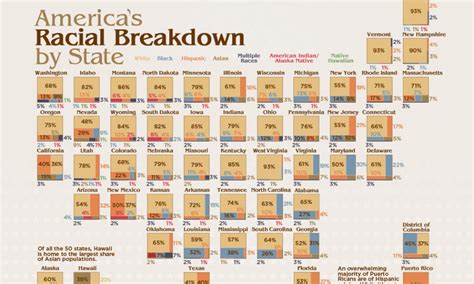 Mapped: Visualizing the U.S. Population by Race