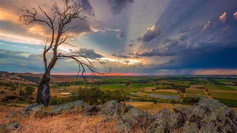 Barossa Valley Australia | Australia landscape, Landscape photography, South australia