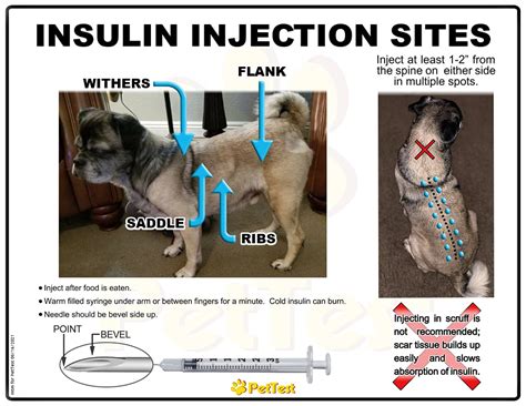 Buy COOLshot Pre-injection Numbing Device for diabetic pets. Prevent pain when injecting with ...