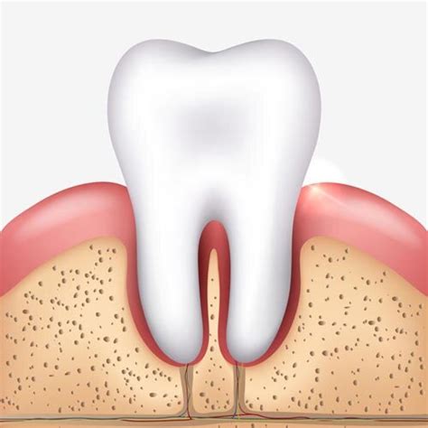 Loose tooth | Kowhai Dental