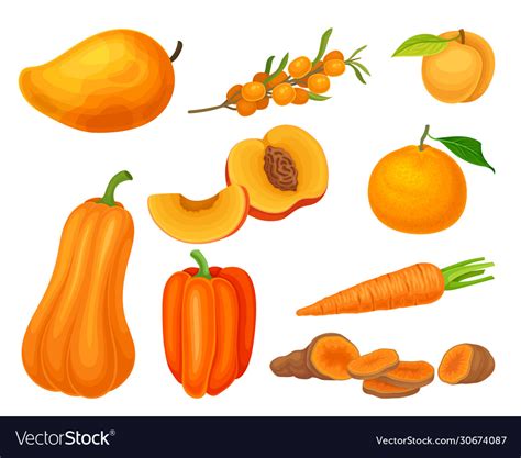 Orange vegetables and fruits with ripe apricot Vector Image