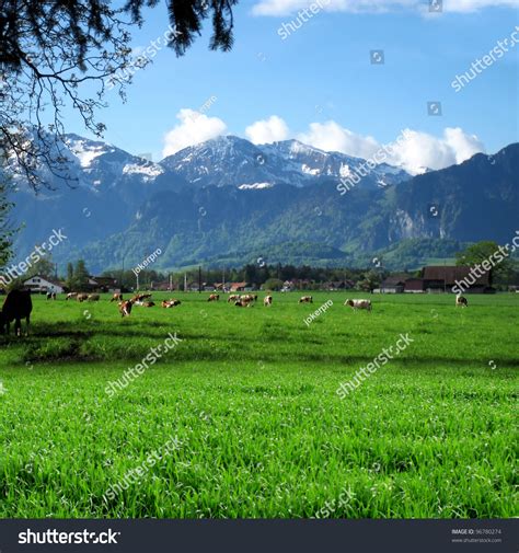 Image Snowy Mountains Switzerland Stock Photo 96780274 | Shutterstock