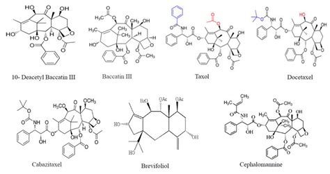 Chemical structure of Taxol and other Taxoid compounds. | Download ...